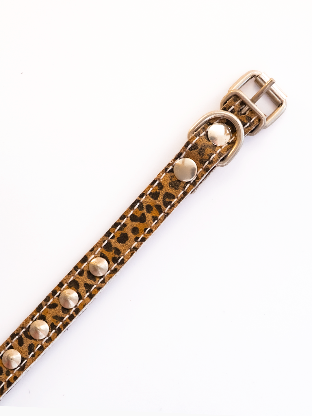COLLAR DE CUERO ANIMAL PRINT MINI LEOPARD 3  CON TACHAS