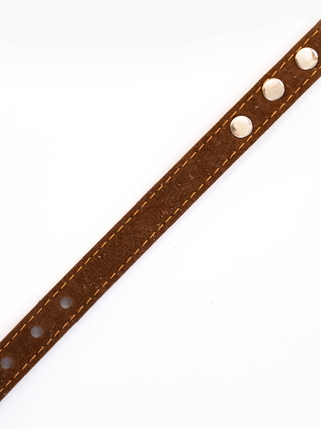 COLLAR DE CUERO ANIMAL PRINT MINI LEOPARD 3  CON TACHAS
