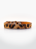 COLLAR DE CUERO ANIMAL PRINT LEOPARD 2