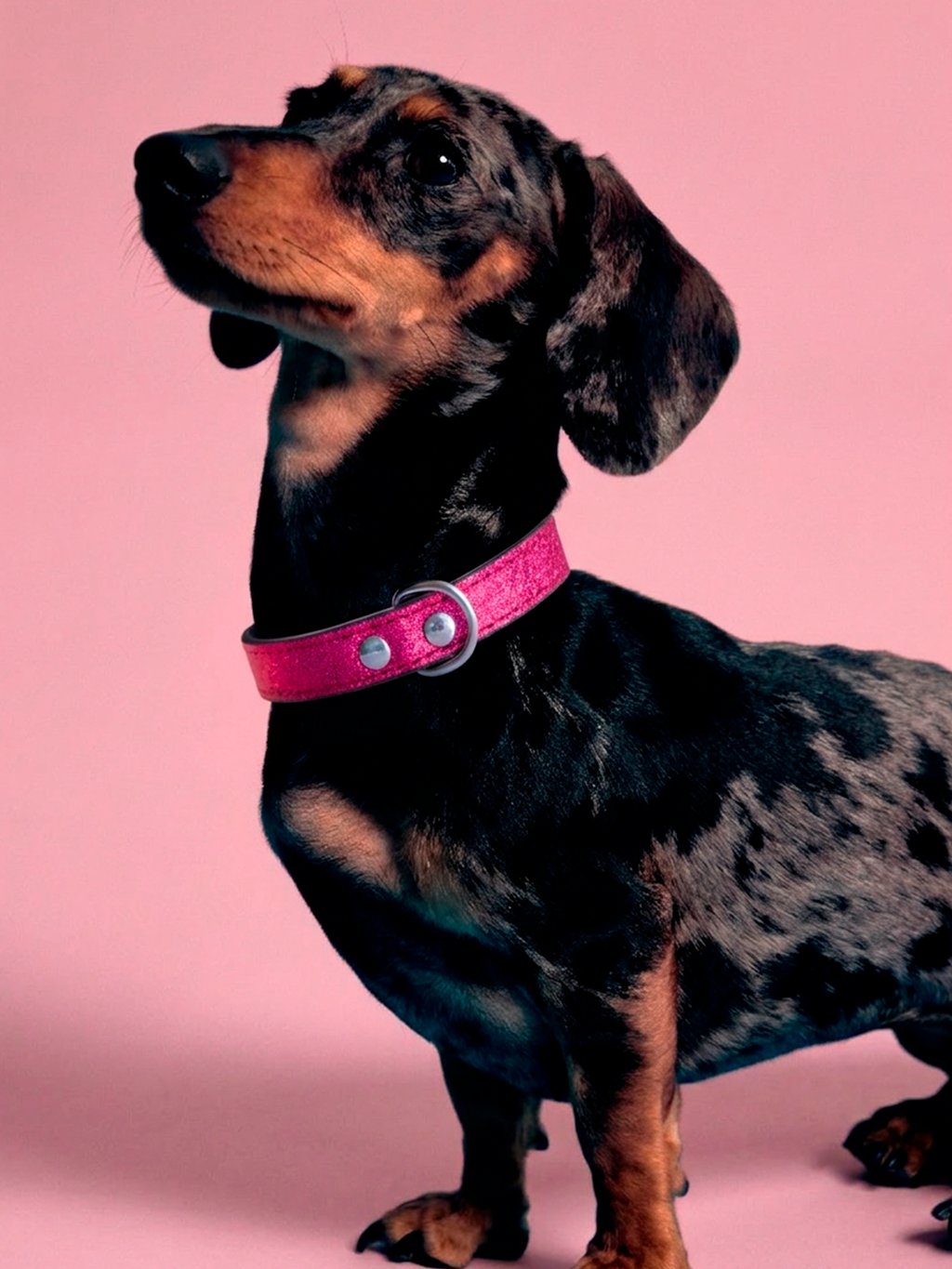 COLLAR BRILLANTE