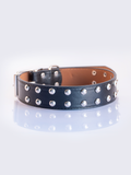 COLLAR NEGRO CON TACHAS