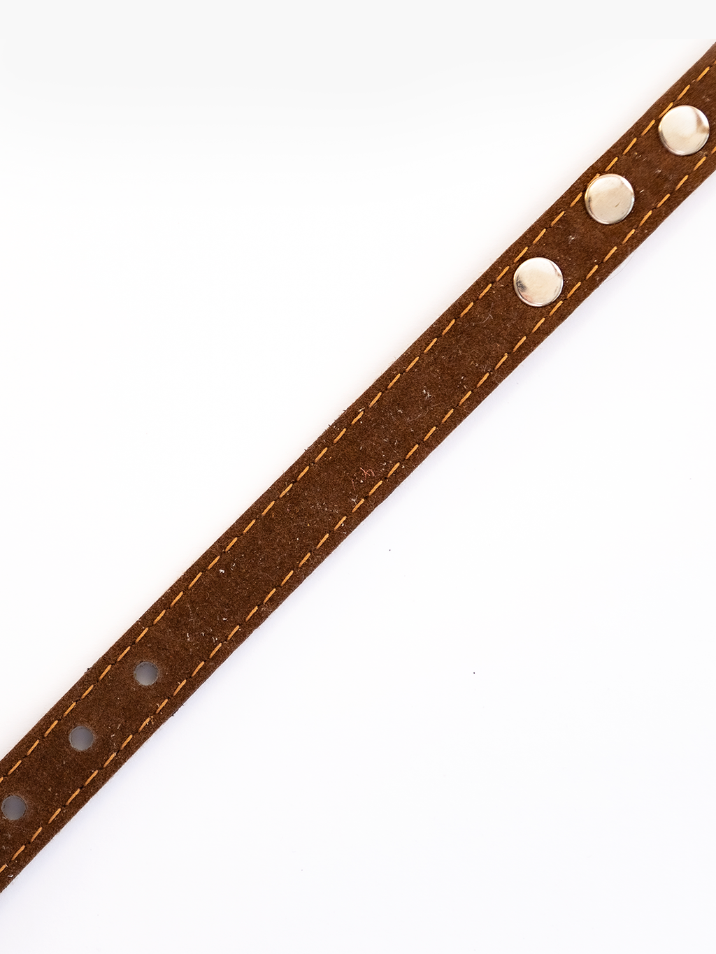 COLLAR DE CUERO ANIMAL PRINT MINI TIGER CON TACHAS