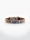 COLLAR DE CUERO ANIMAL PRINT MINI LEOPARD 2 CON TACHAS